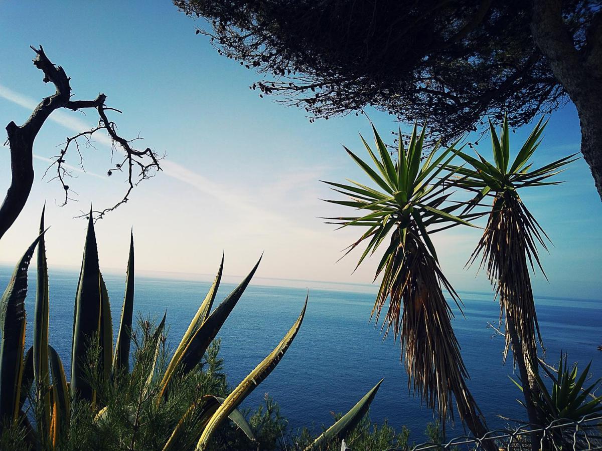 Le Paradis Bleu Calanque De Figuieres, Paddle Et Veranda Ансюэс-ла-Редон Экстерьер фото